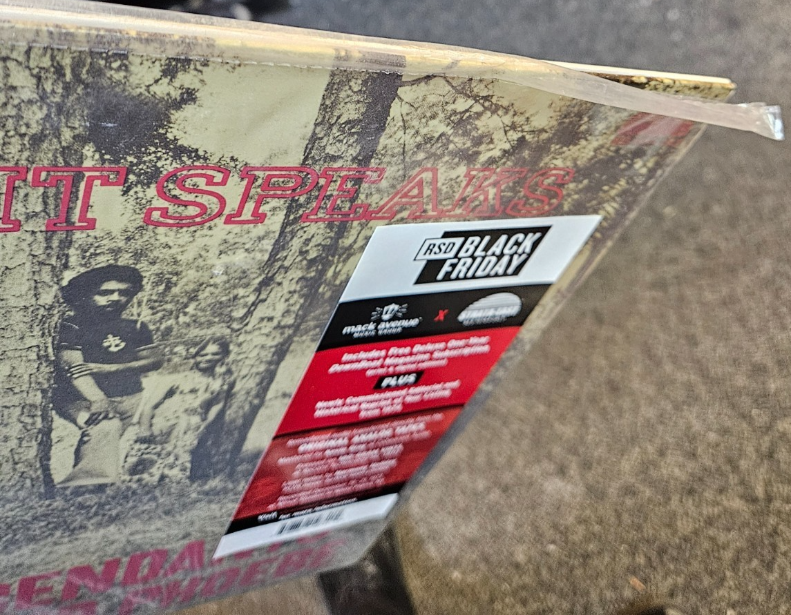 The Descendants Of Mike And Phoebe "Spirit Speaks" RSD BF 2025 New LP NM-NM4