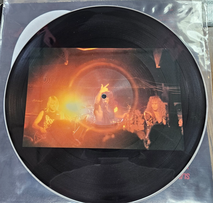SLAYER "Live Undead" Picture Disc  Gray Stripe 1985 Metal Blade  VG+ VG Used LP7