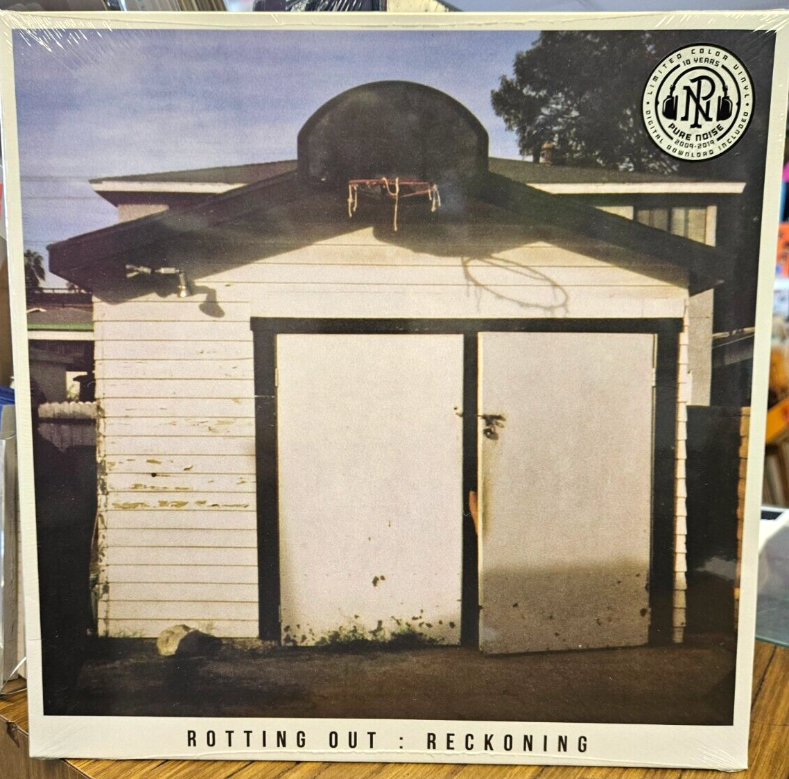 Reckoning by Rotting Out (Vinyl, Apr-2015, Pure Noise) Brand New Sealed0