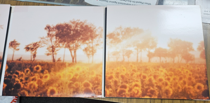 KRUNDER / DORFMEISTER "THE K&D SESSIONS" X5 LP VERSION NM COVER VG+ EU4