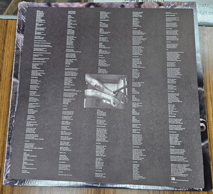 SLAYER Divine Intervention RED Translusent Vinyl VG+ Used LP 1994 W/ Lyric Sheet3