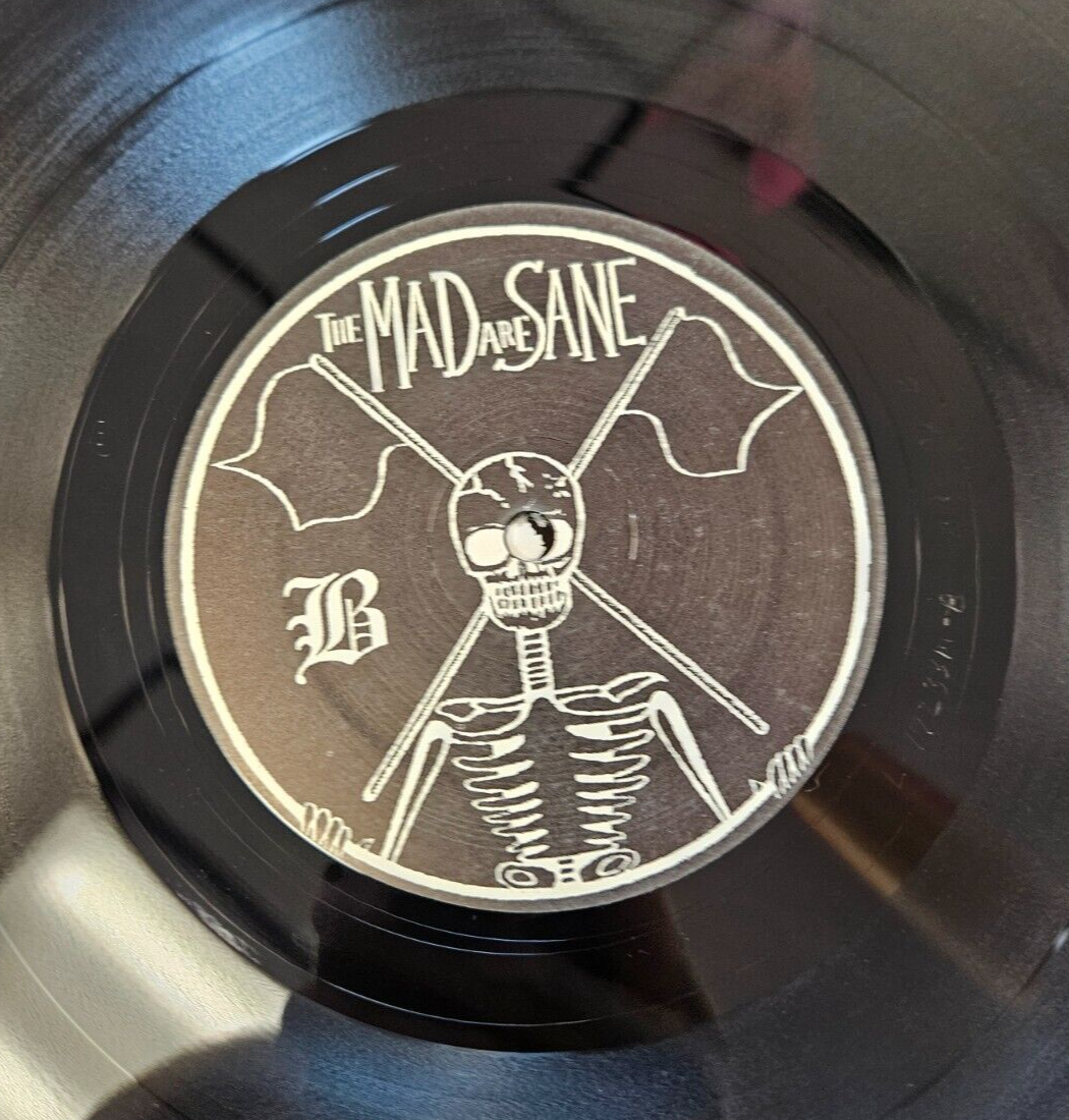 The Mad Are Sane "Reality" LP VG+ VG + Used LP9
